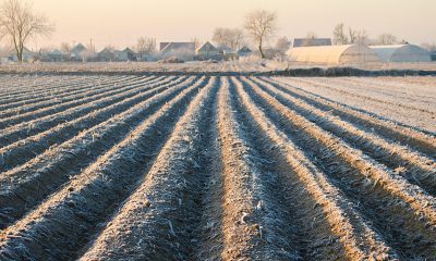 AntiFrost® range
