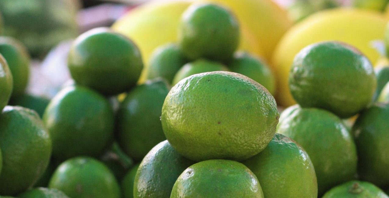 lemon and lime frost protection lemon and lime in a bowl